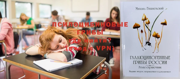 стаф Надым