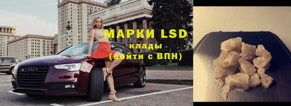 стаф Надым